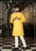 Self Print Brasco Lucknowi Kurta 
