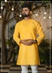 Self Print Brasco Lucknowi Kurta 